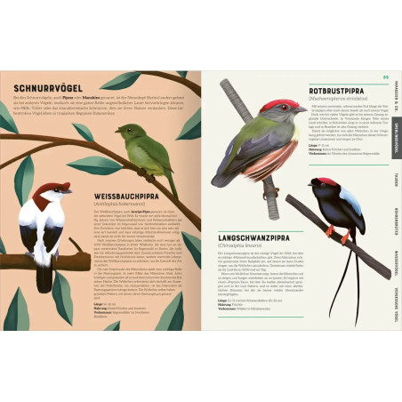 Das große Lexikon der Vögel