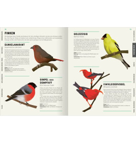 Das große Lexikon der Vögel