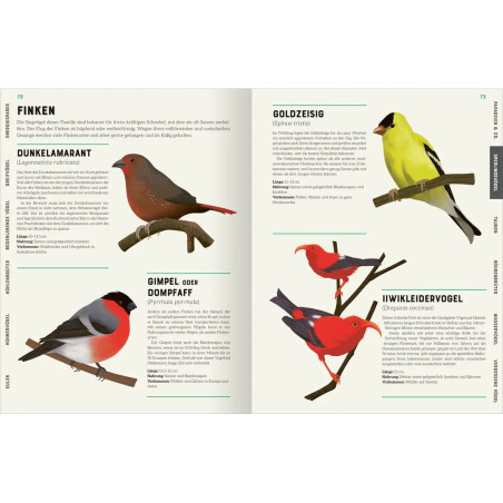 Das große Lexikon der Vögel