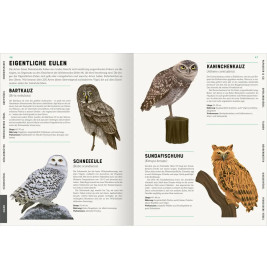 Das große Lexikon der Vögel