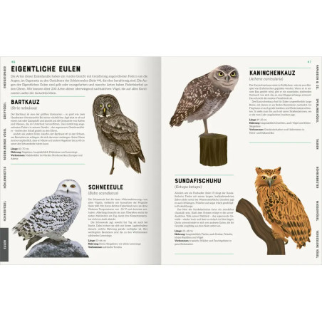 Das große Lexikon der Vögel