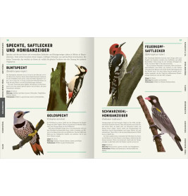 Das große Lexikon der Vögel