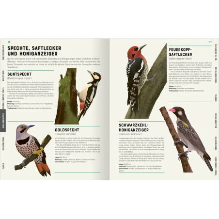 Das große Lexikon der Vögel