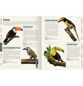 Das große Lexikon der Vögel