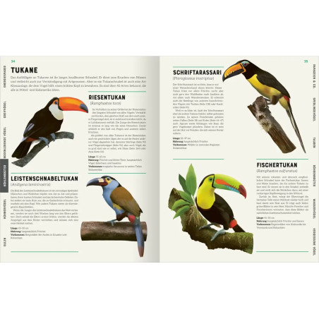 Das große Lexikon der Vögel