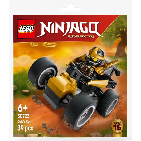 LEGO® NINJAGO® 30723 Ninja Coles Flitzer