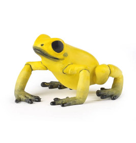 Papo 50174 Gelber äquatorial Frosch