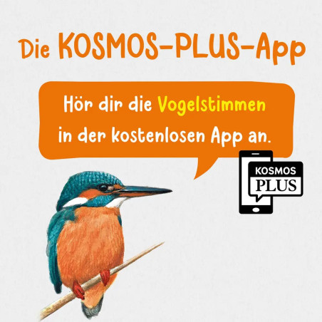 Kindernaturführer Was fliegt denn da?