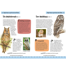 Kindernaturführer Was fliegt denn da?
