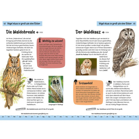 Kindernaturführer Was fliegt denn da?