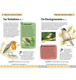 Kindernaturführer Was fliegt denn da?