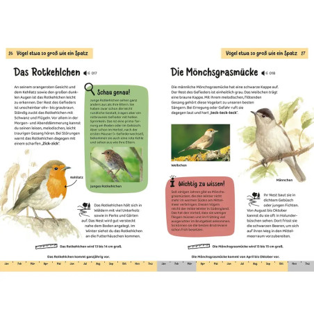 Kindernaturführer Was fliegt denn da?