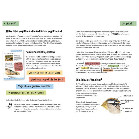 Kindernaturführer Was fliegt denn da?