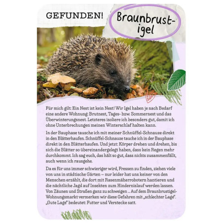 Tierische Wohnung gesucht - Welches Tier zieht hier ein?