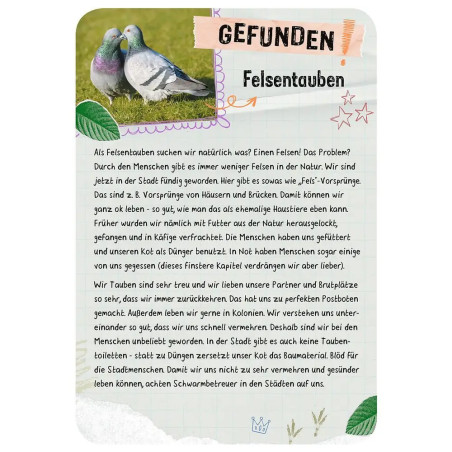 Tierische Wohnung gesucht - Welches Tier zieht hier ein?