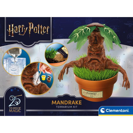 Clementoni® Harry Potter Alraune Bastelset – Magische Nachbildung für Fans – Kreativität ab 6 Jahren