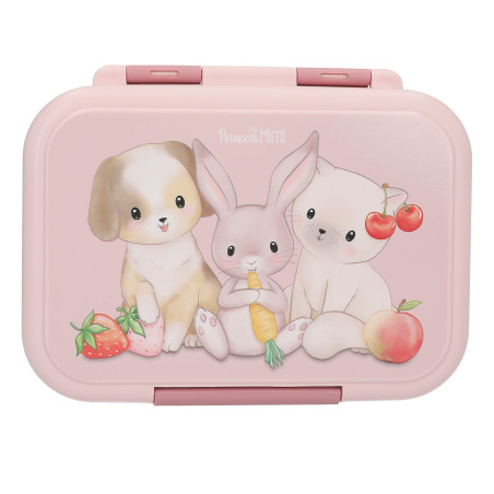 Depesche Princess Mimi Brotdose Edelstahl – Robust, BPA-frei & märchenhaft (ca. 18x13x6cm)