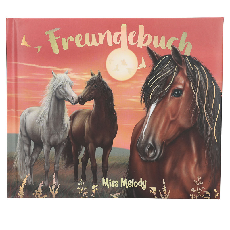 Depesche Miss Melody Freundebuch Motiv 2 | Für wertvolle Erinnerungen!