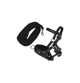HKM Sports Equipment Longierset schwarz – für Hobby Horsing Steckenpferde