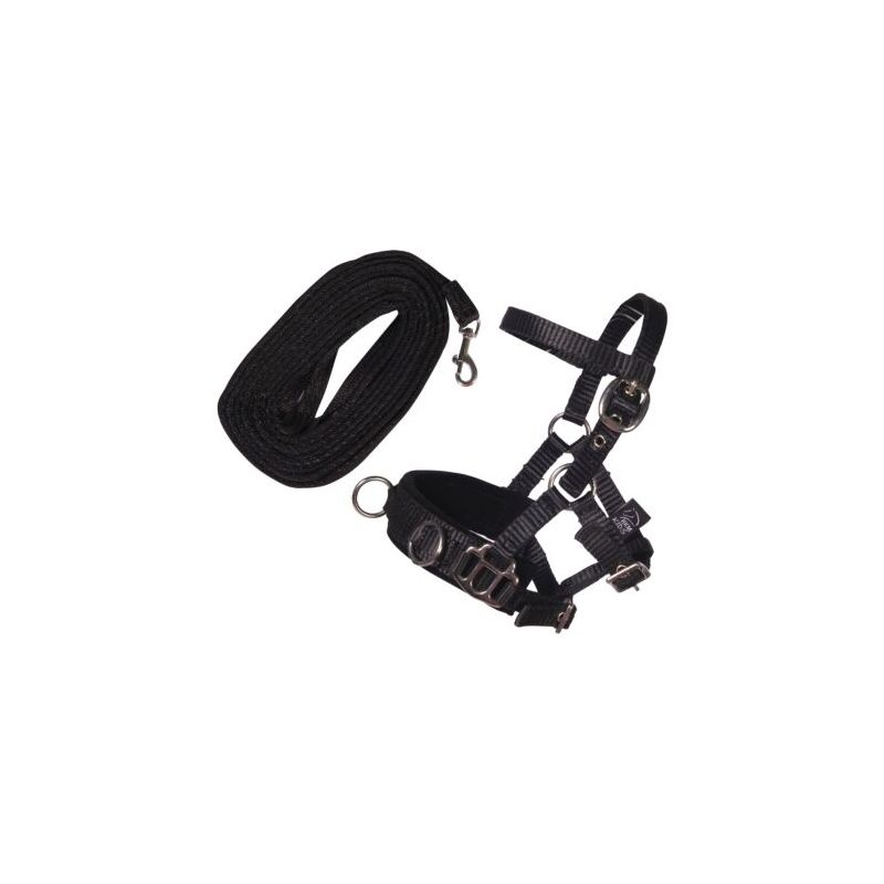 HKM Sports Equipment Longierset schwarz – für Hobby Horsing Steckenpferde