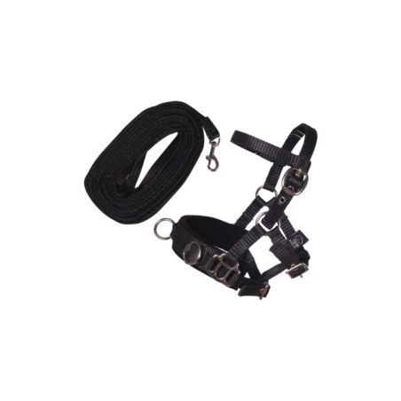 HKM Sports Equipment Longierset schwarz – für Hobby Horsing Steckenpferde