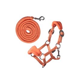 HKM Sports Equipment Halfter und Strick Orange – Leuchtend, robust & sicher für jedes Pferd