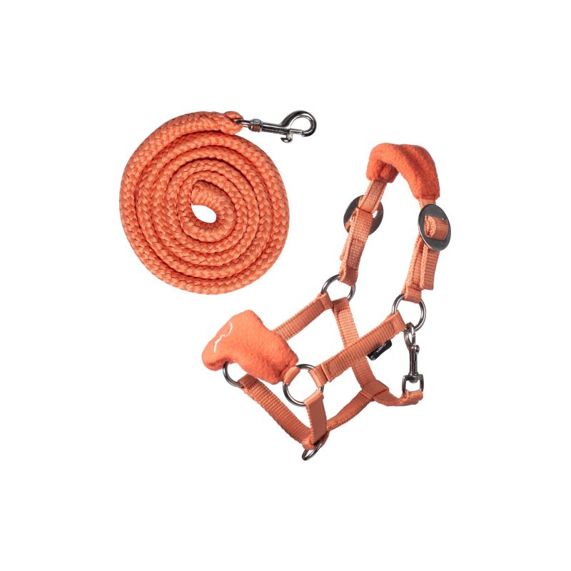 HKM Sports Equipment Halfter und Strick Orange – Leuchtend, robust & sicher für jedes Pferd