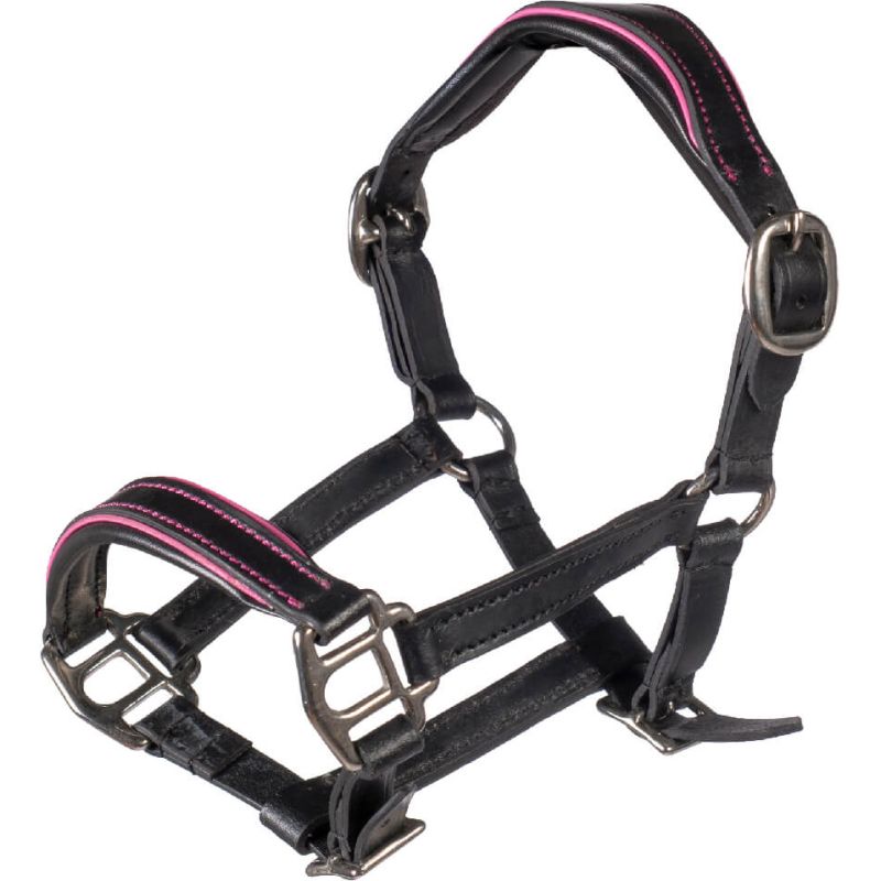 HKM Sports Equipment Lederhalfter Manchester schwarz/pink – Hobby Horsing