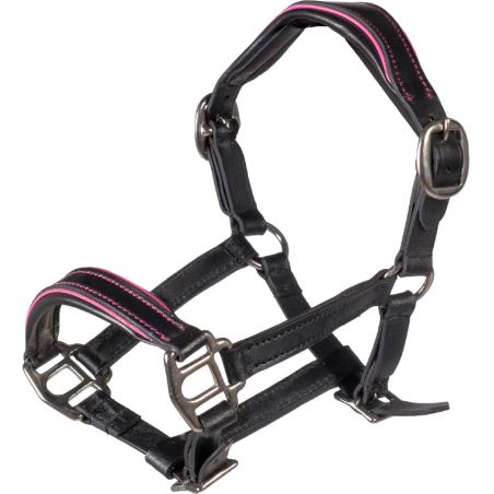 HKM Sports Equipment Lederhalfter Manchester schwarz/pink – Hobby Horsing