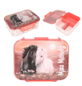 Miss Melody Brotdose BLOSSOM PONY