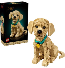 LEGO® Icons 11384 Golden Retriever Welpe