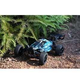 DF-Models Speed Slugger Buggy 1:10 – RTR brushed RC-Car für Einsteiger & Profis