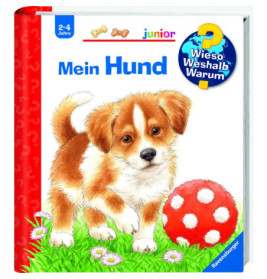 www jun41: Mein Hund