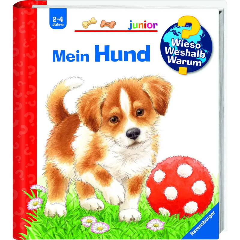 www jun41: Mein Hund