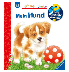 www jun41: Mein Hund