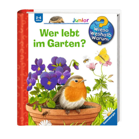 www jun49: Wer lebt im Garten?
