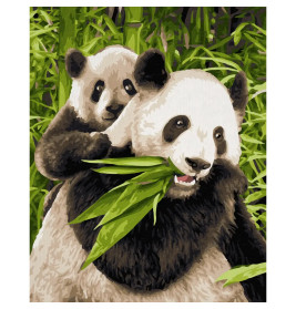 Malen nach Zahlen - Pandabären