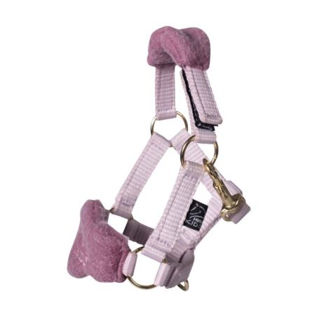 HKM Halfterset Cuddle Horse hellrosa – Komfort & Design für Pferde | HKM Sports Equipment 157581318.0001