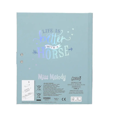 Miss Melody Tagebuch mit Code und Sound, Motiv 2