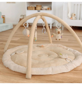 3-D-Activity-Decke Capybara