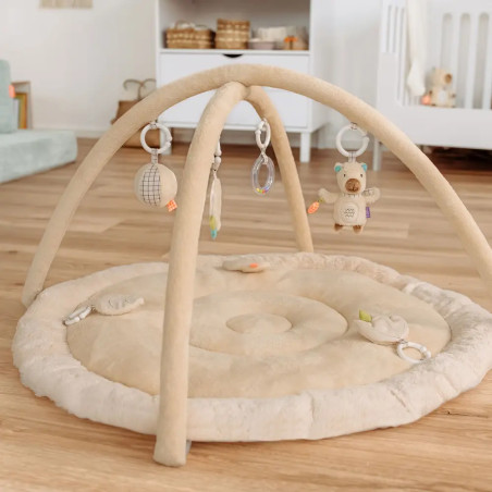 3-D-Activity-Decke Capybara