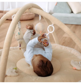 3-D-Activity-Decke Capybara