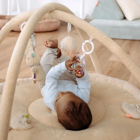 3-D-Activity-Decke Capybara