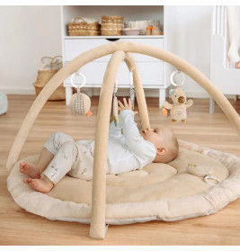 3-D-Activity-Decke Capybara