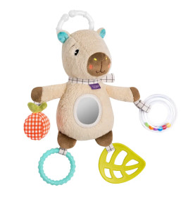 Activity-Capybara