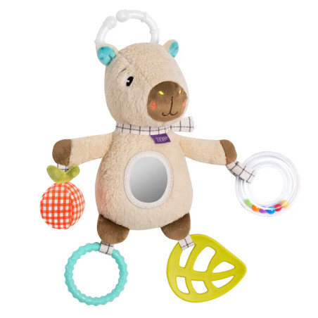 Activity-Capybara