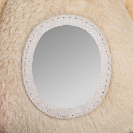 Activity-Capybara
