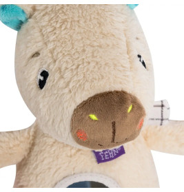 Activity-Capybara