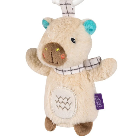 Activity-Spirale Capybara