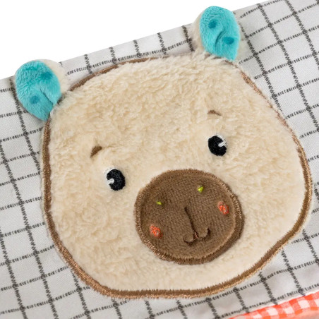 Fotoalbum Capybara
